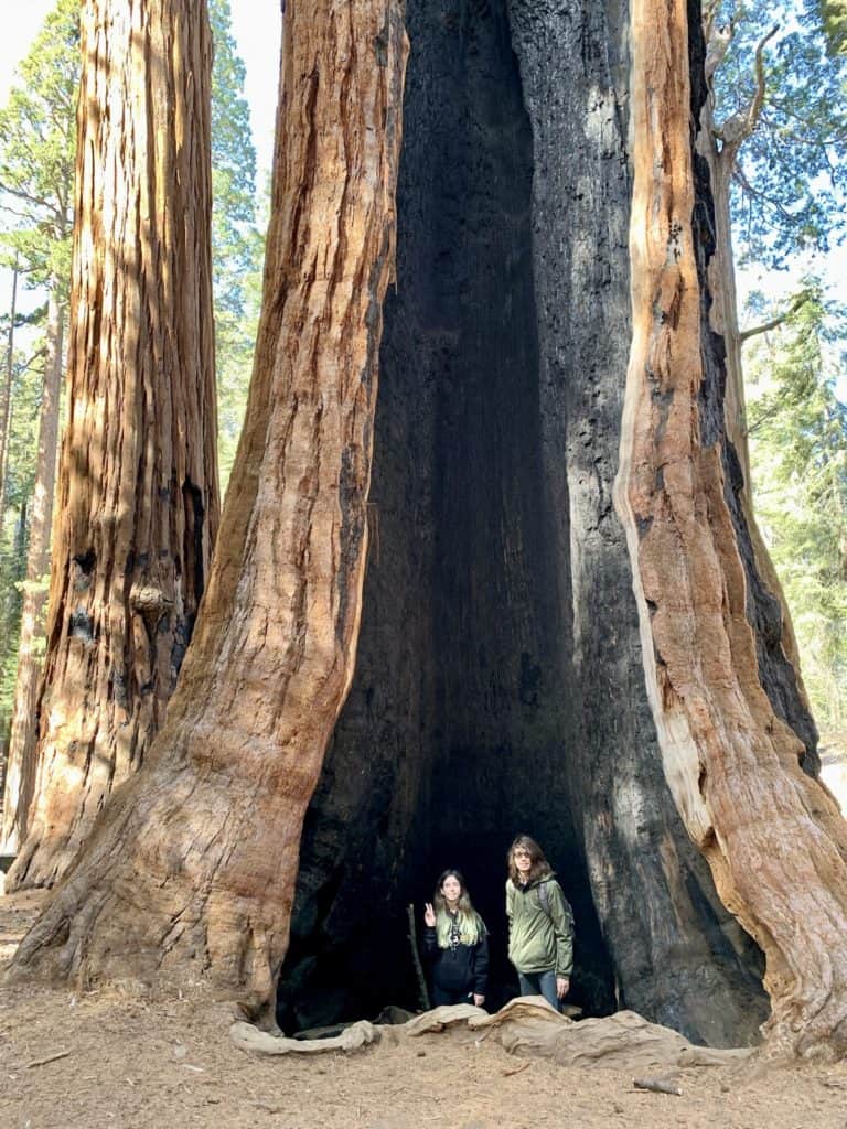 California family vacations Sequoia