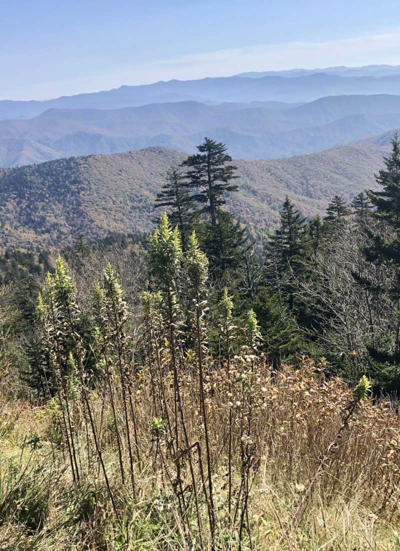 Smoky mountains vacation – how to plan a phenomenal adventure