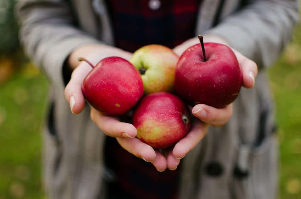 Fall vegetables and fruits - person holding four red apples
