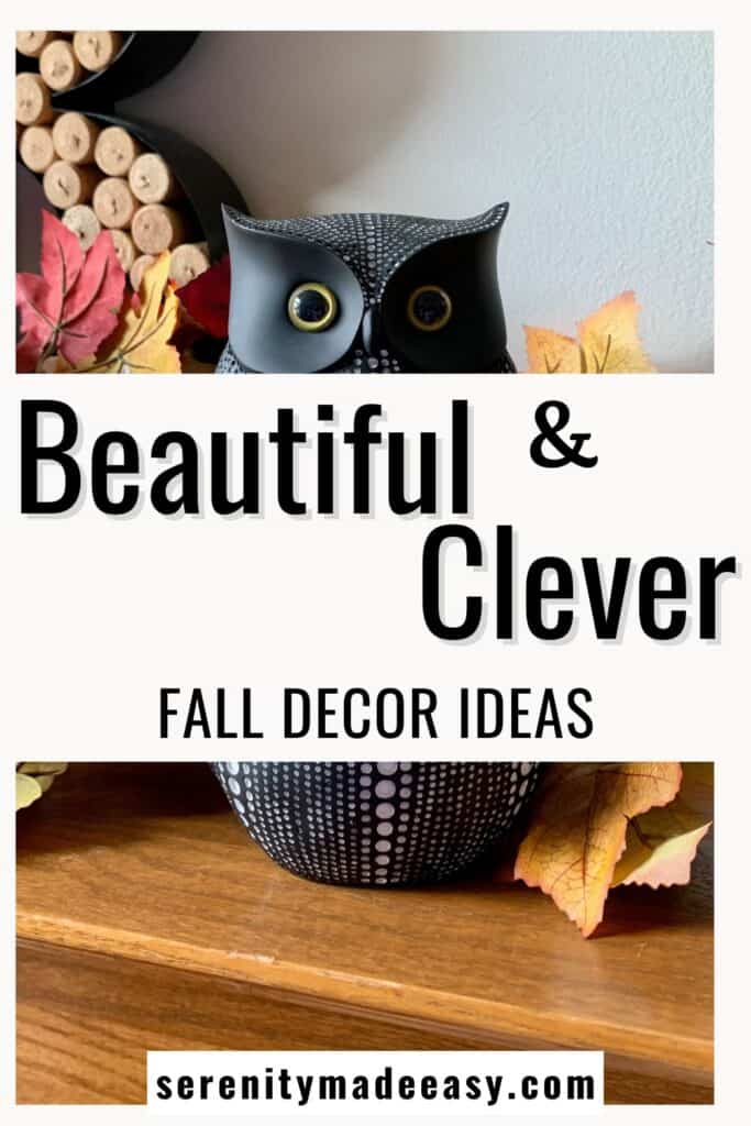 Beautiful and clever fall decor ideas with a picture of a cute black owl