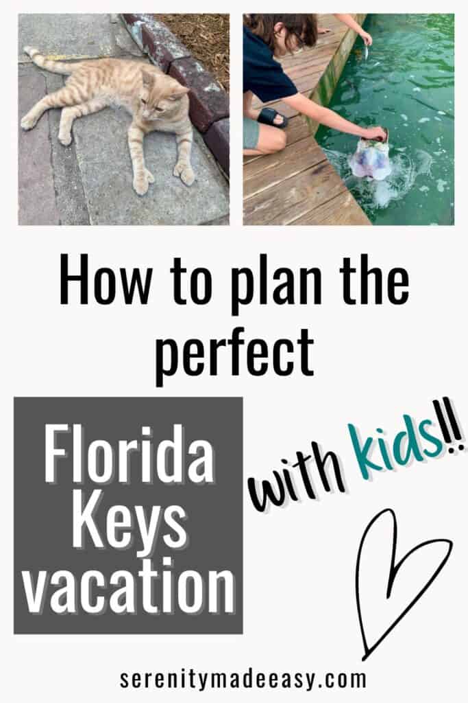 How to plan the perfect Florida keys vacation with kids - a photo of a 6-toed cat and a boy feeding a tarpon