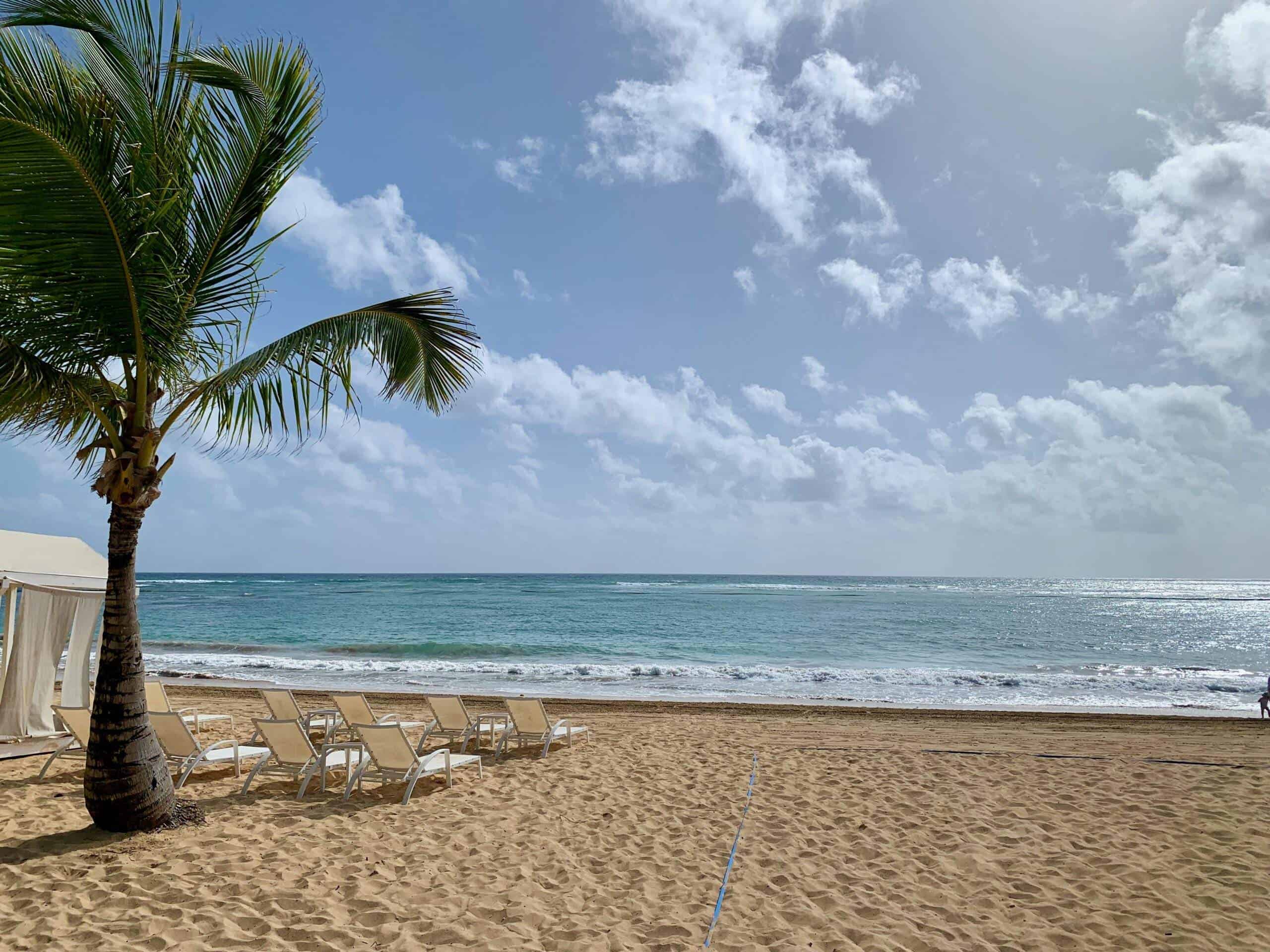 A palm tree, white chairs, golden sand and a blue ocean at a Dominican Republic all-inclusive family resort
