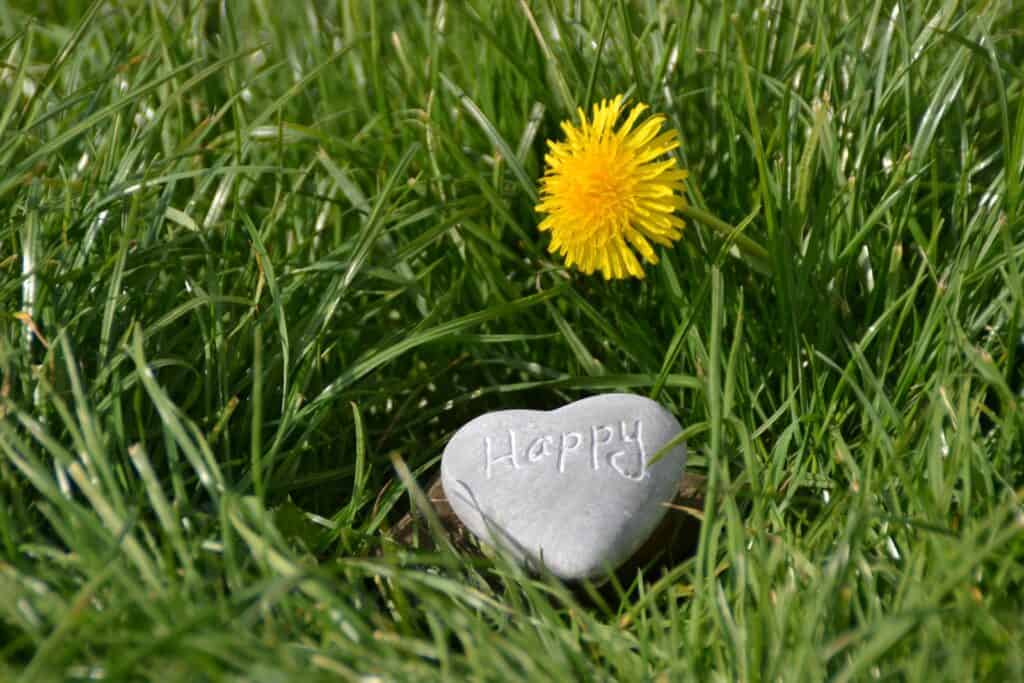 A heart-shaped black stone on green grass with the word happy written on it and a yellow flower.