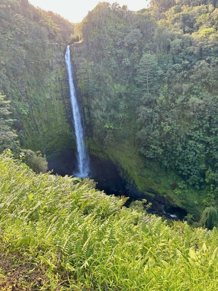Image of the Akaka fall in Hilo Hawaii