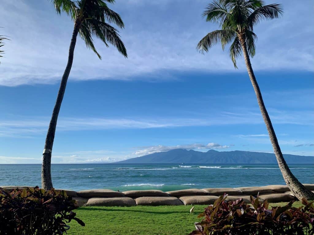 Two palm trees, green grass, and sand bags with a blue ocean and mountain in the background.