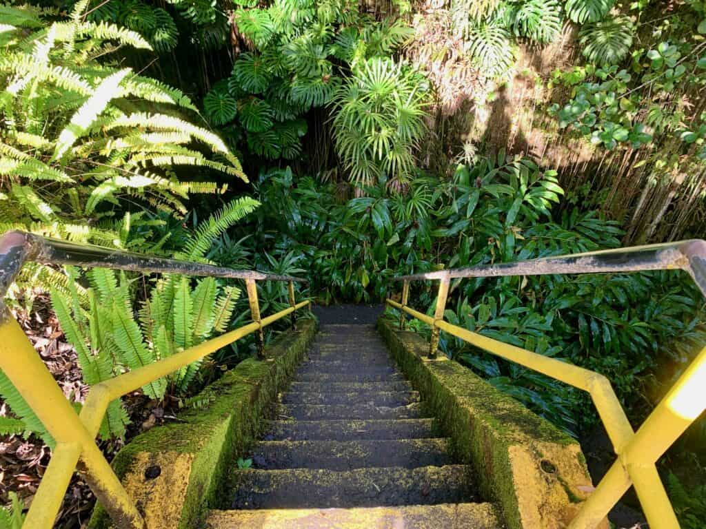 What to do on the big island Kaumana Caves entrance. Image of the stair going down to the caves with lots of tropical greenery.