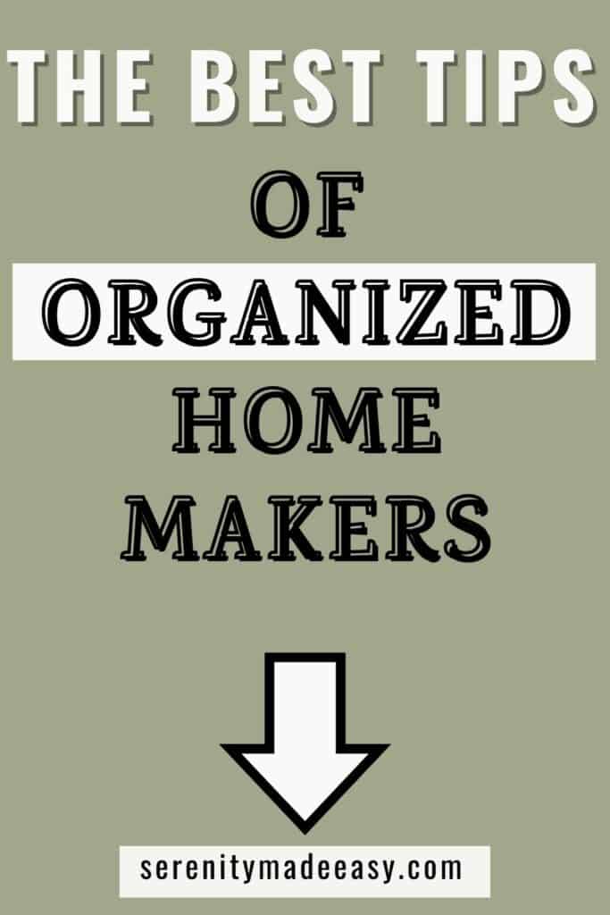 Text only image that states "the best tips of organized home-makers"