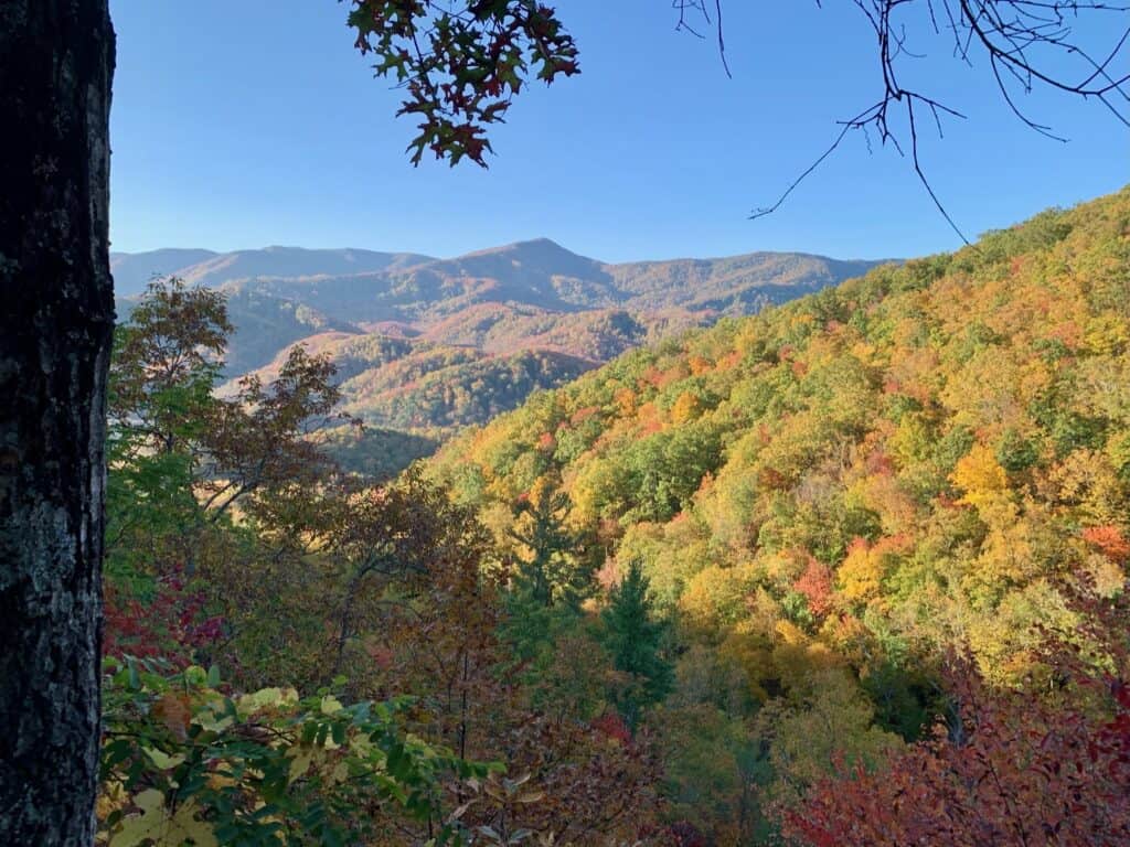 Colorful Great Smoky Mountains during the fall.