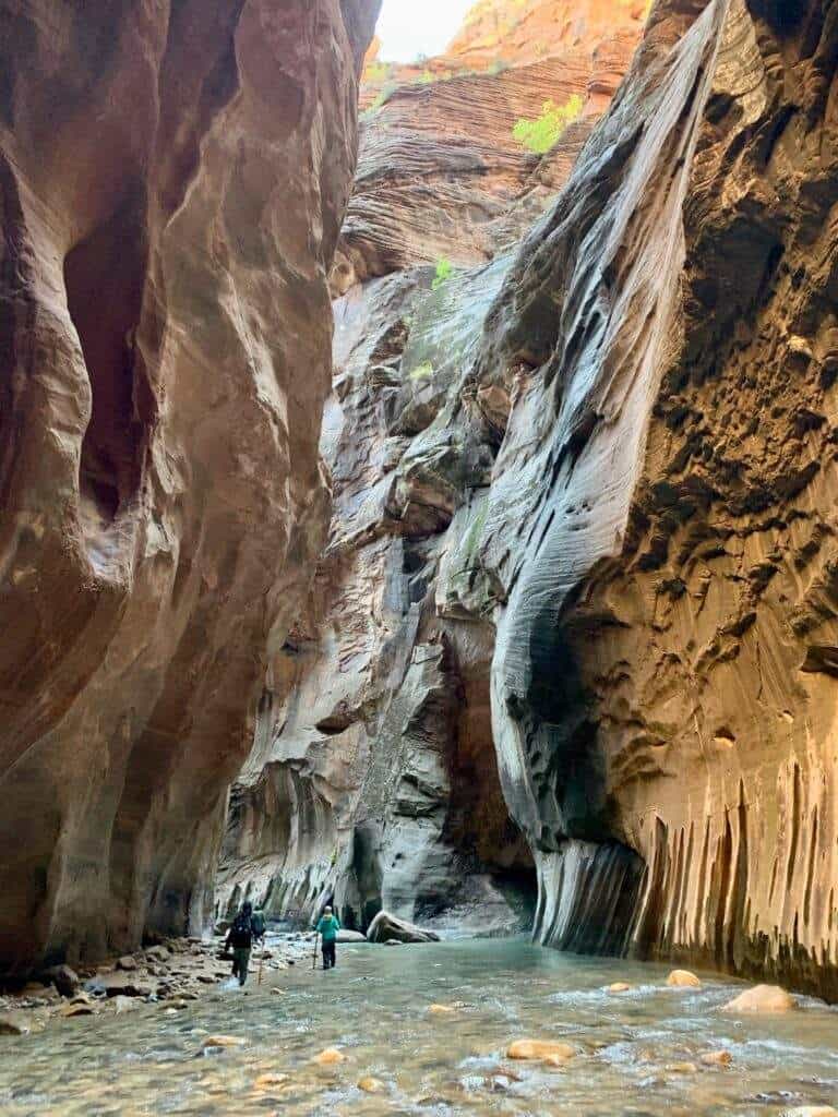 2 people hiking in the Narrows in Zion National park