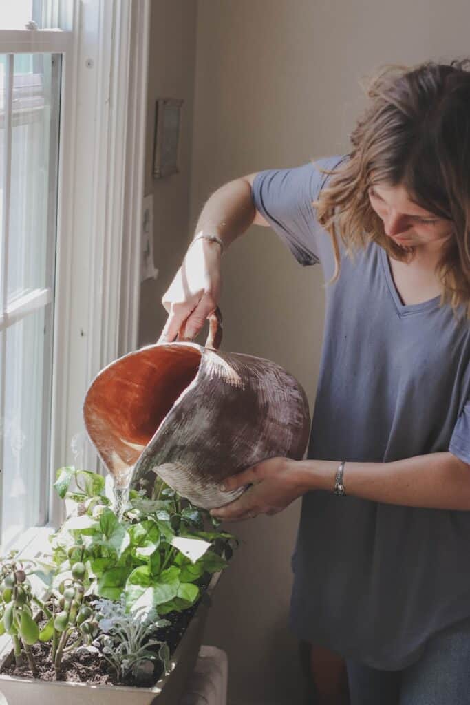 woman watering plant beside window. Make sure to do before going on Holiday.