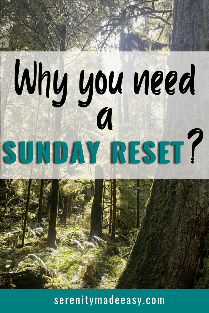 A beautiful lush forest under the sunshine with caption saying Why you need a Sunday reset