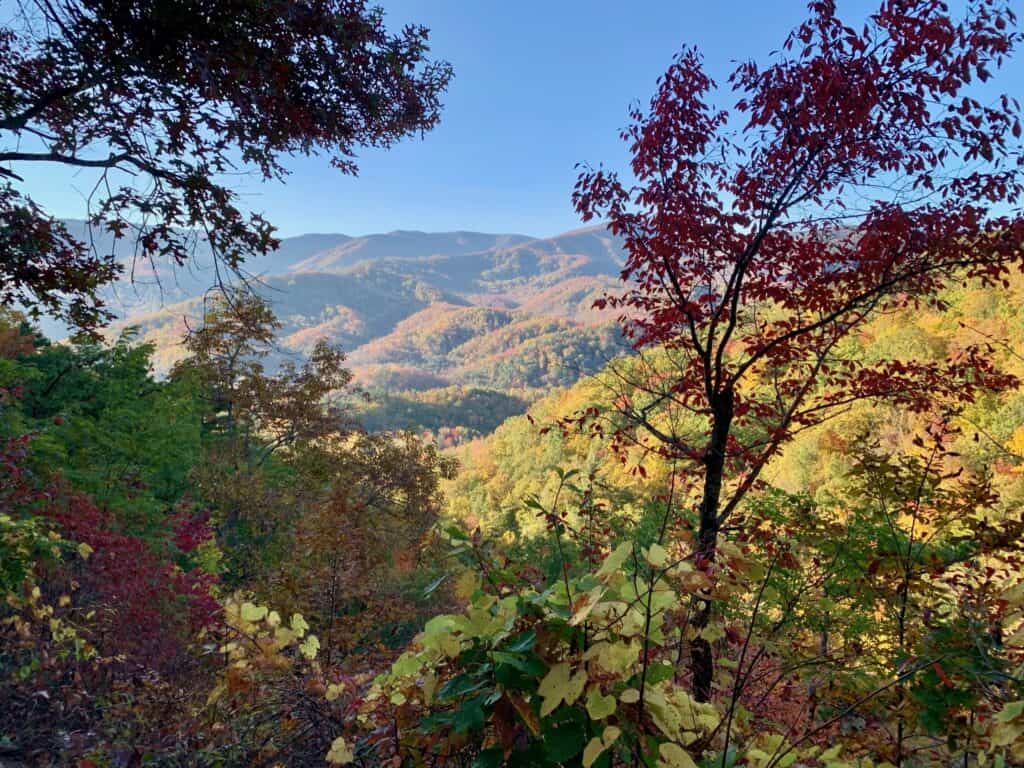 Beautiful fall foliage in Smokeys National Park