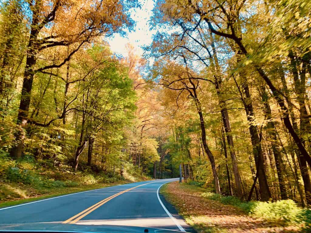 Fall destination ideas - beautiful road with fall foliage