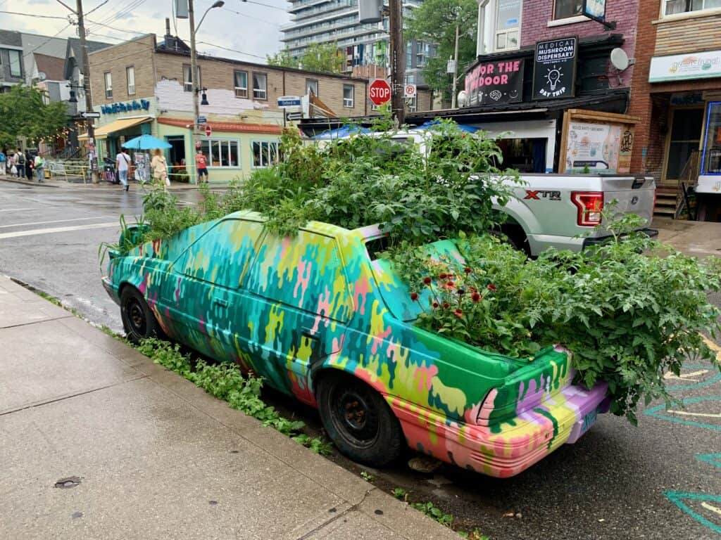 A car full of graffiti and plants growing inside as an artwork in downtown Toronto