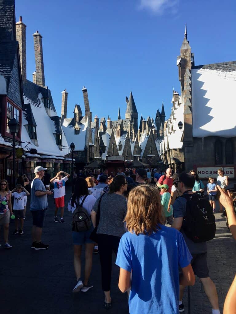Snow on rooftops at Hogsmeade.