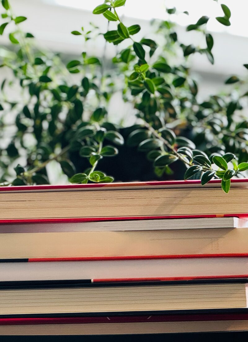 Best Spring books to advance your personal growth
