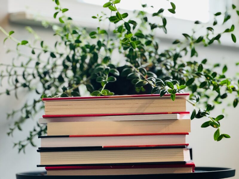 A stack of books and a green plant