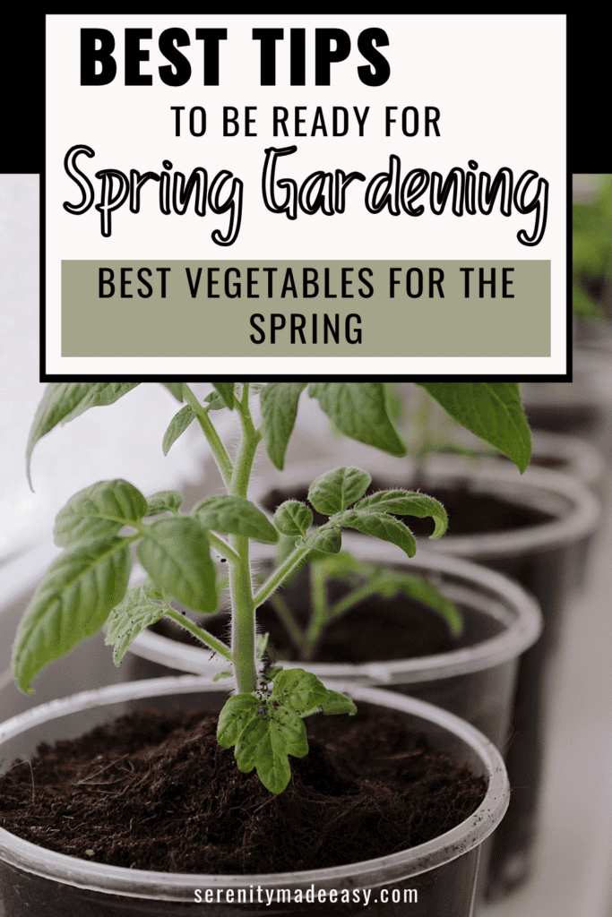 Some small vegetables plants for spring gardening