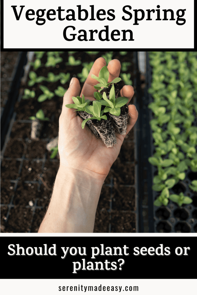 A hand holding Spring seedlings
