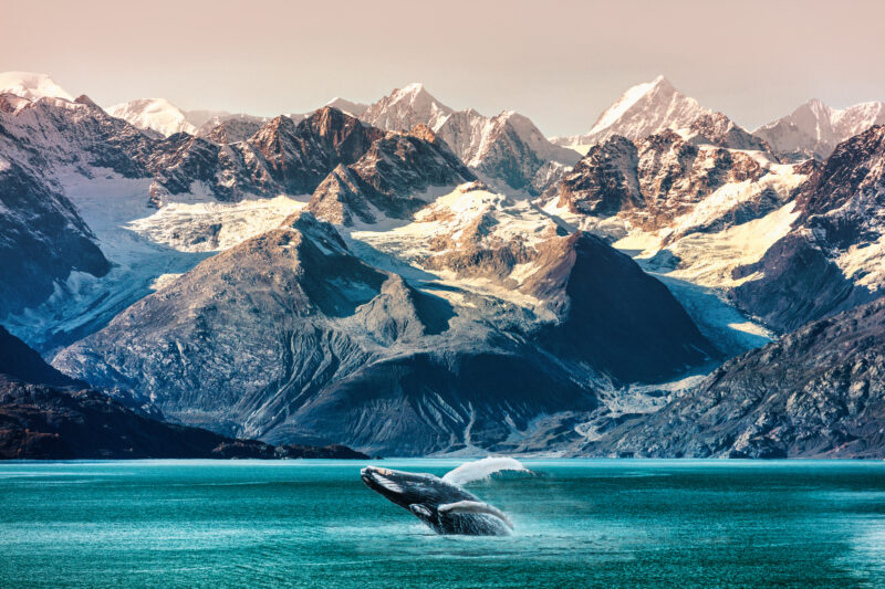 Experience Alaska: What to pack for an Alaskan cruise