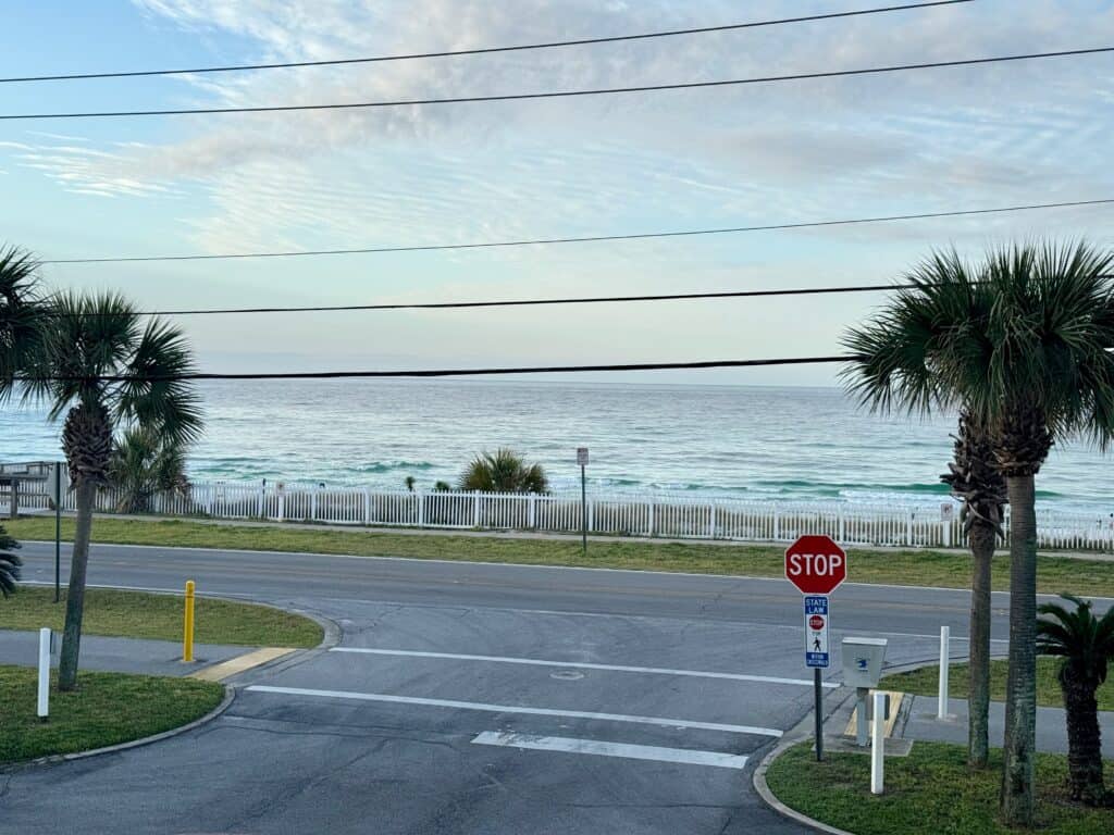 View of a street and an ocean across with palm trees.