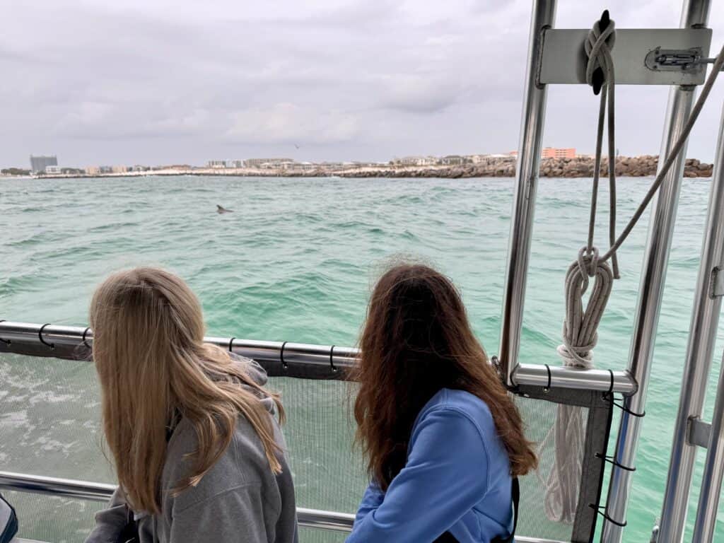 Two girl watching a Dolphin in the ocean