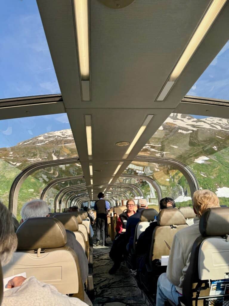 A view from the inside of a Dome train in Alaska