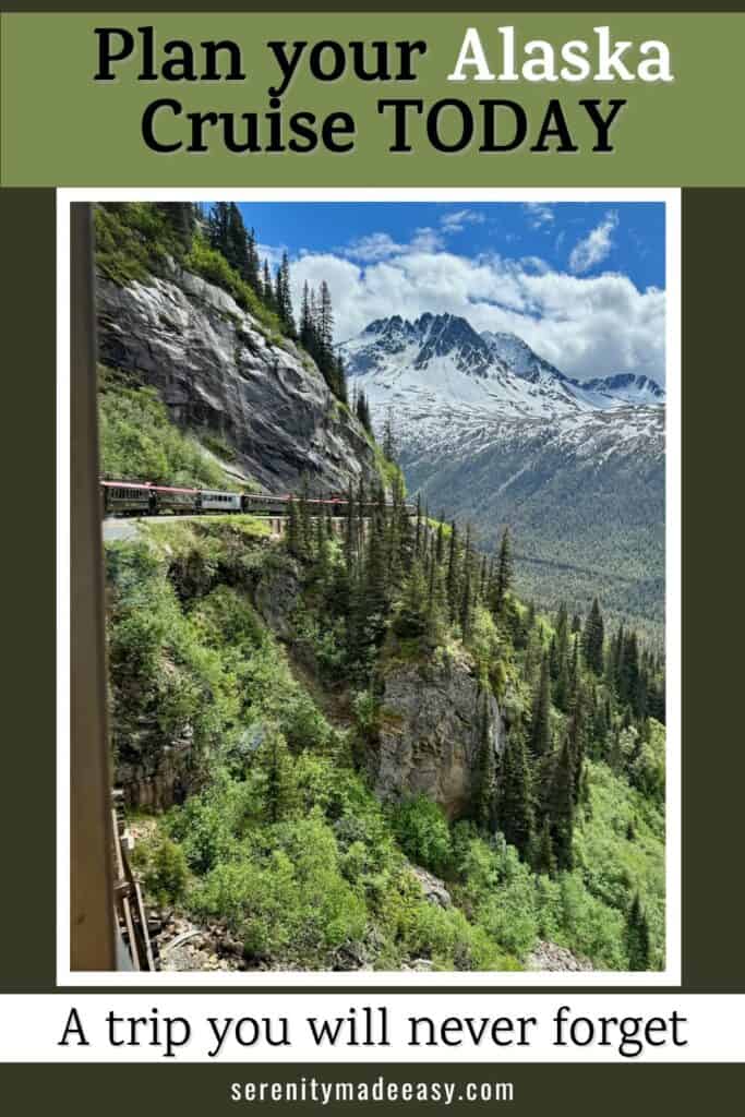 Stunning image of a train going over a forest with giant mountains in the background in Alaska