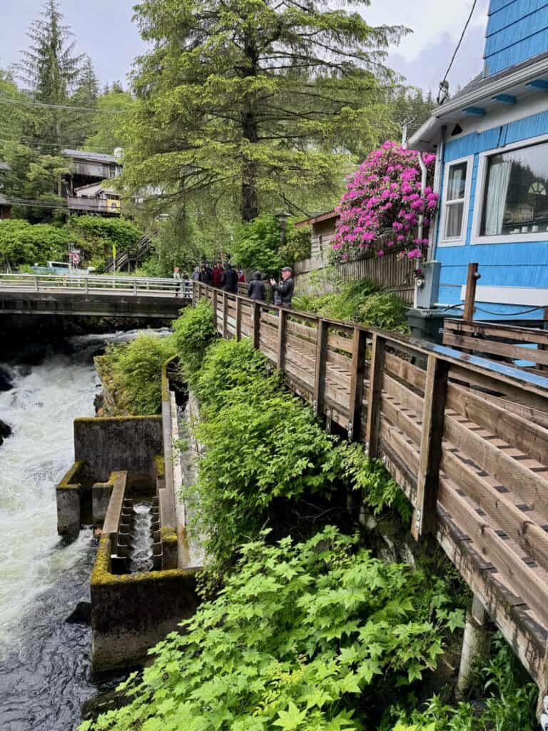 Creek Street and salmon ladder.